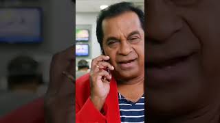 Best Brahmanandam amp Ravi Teja Comedy Moments [upl. by Shelton373]