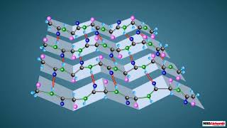 Proteins and their Structure [upl. by Enyrhtac296]