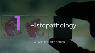 Histopathology [upl. by Candyce]