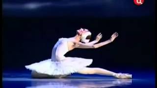 Svetlana Zakharova em A morte do Cisne  Lago dos Cisnes [upl. by Irneh]