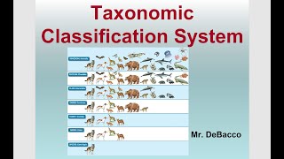 Taxonomic Classification [upl. by Herries]