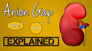 Anion Gap EXPLAINED [upl. by Hinson]