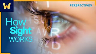 How Does Sight Work  Wondrium Perspectives [upl. by Aramois]