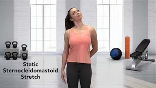 How to do a Sternocleidomastoid Stretch [upl. by Aztilay]