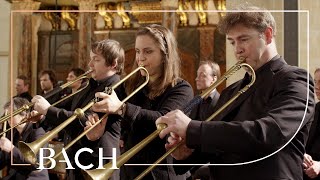 Bach  Sinfonia from Cantata BWV 29  Netherlands Bach Society [upl. by Halet]