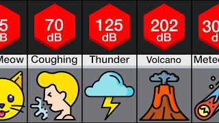 Comparison Loudest Sounds [upl. by Ablasor]