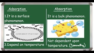 Adsorption Vs Absorption Differences [upl. by Akinnej]