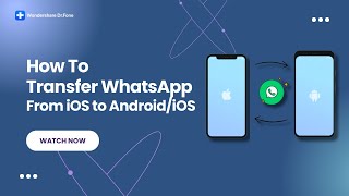 How To Transfer WhatsApp From iOS to AndroidiOS [upl. by Ewer]