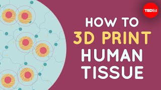 How to 3D print human tissue  Taneka Jones [upl. by Lissi835]