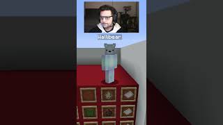 WALLIBEAR TAKES ON MOB ARENA gaming ⁠youtube funny minecraft memes tiktok shorts ytshorts [upl. by Anitsirhcairam]