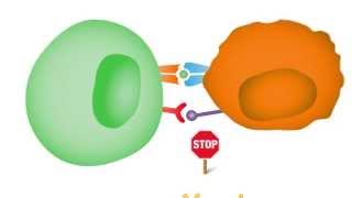 Checkpoint Inhibitors Taking the Brakes Off the Immune System [upl. by Enyaz]