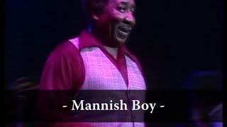 Muddy Waters  Mannish Boy Live At Rockpalast [upl. by Gawlas]