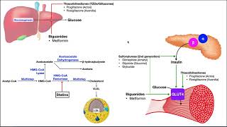 How to pronounce melphalan Alkeran Memorizing Pharmacology Video Flashcard [upl. by Enilrae]