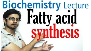 Fatty acid synthesis [upl. by Ecinnaj695]