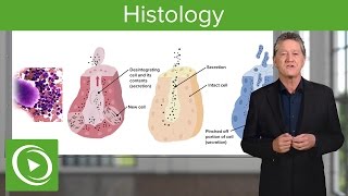 Histology – Course Preview  Lecturio [upl. by Spring]