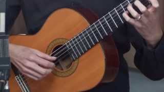 Classical Guitar Lesson 1 [upl. by Yme]