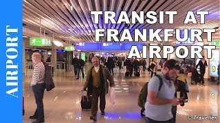 TRANSIT WALK AT FRANKFURT Airport FRA Terminal 1  Connection Flight Transfer Arriving amp Departing [upl. by Nylesor]