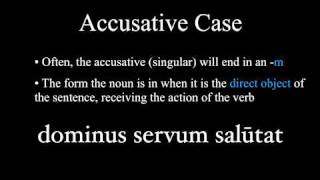 The Nominative and Accusative Cases [upl. by Clem]