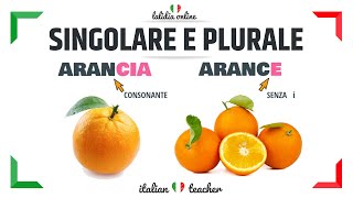 SINGOLARE e PLURALE  Easy Exercises  GRAMMAR  Italian for Beginners [upl. by Itak575]