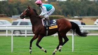 Frankel  The Wonder Horse All 14 Wins [upl. by Nemra]