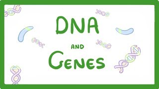 Inherited Genetic Disorders  Genetics  Biology  FuseSchool [upl. by Gardal]