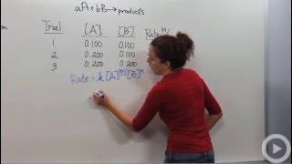 Reaction Rate Laws [upl. by Cence]