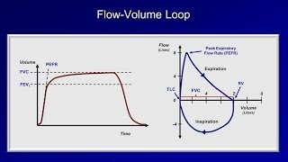 Pulmonary Function Tests PFT Lesson 2  Spirometry [upl. by Ayahc]