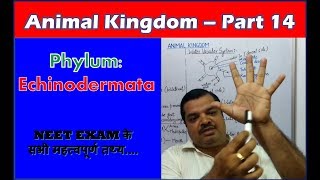 Echinoderms Characteristics  Animal Kingdom  NEET Bio  Part 14 [upl. by Neerak]