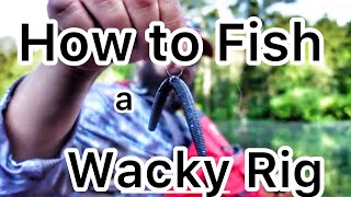 How to Fish a Wacky Rig and Other Details about a Senko [upl. by Ynnor]